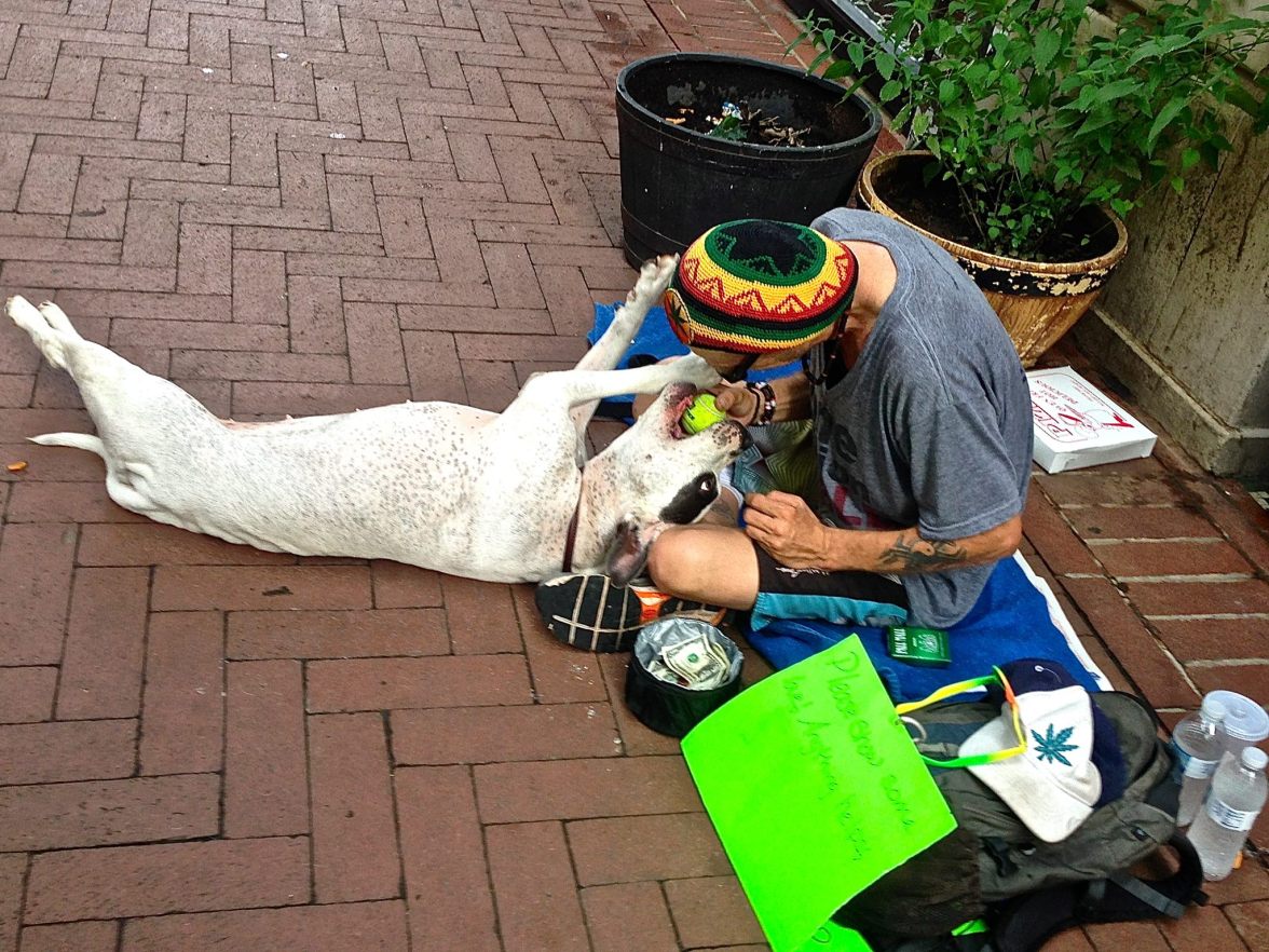 10403869_703103853077642_4337991137669631219_o